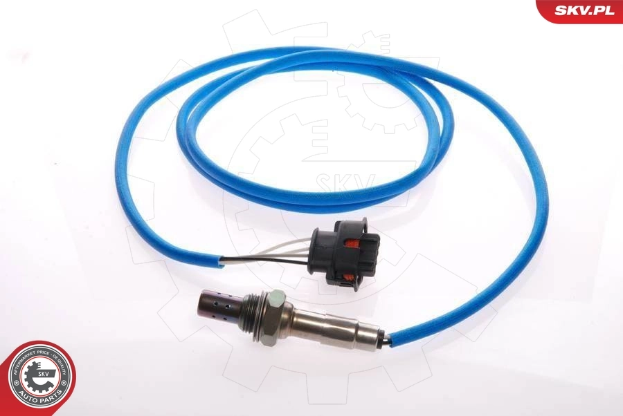 Oxygen Sensor